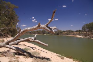 Cooper Waterhole
