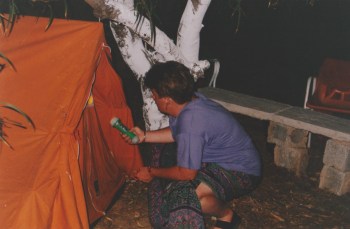 C742861C-B571-4443-A4DE-D6405B7AD416_1_201_a