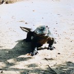 WEDNESDAY, 20 MAY – ISLE OF DRAGONS.